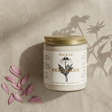 echinacea candle dot lil