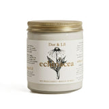 echinacea candle dot lil