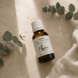 Huile parfumée pour diffuseur – Eucalyptus & lime