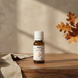 frm0008-sugar-spice-home-essence_1
