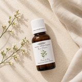 Huile parfumée pour diffuseur – Fleur de riz