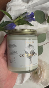 Echinacea soy candle - Wildflower collection