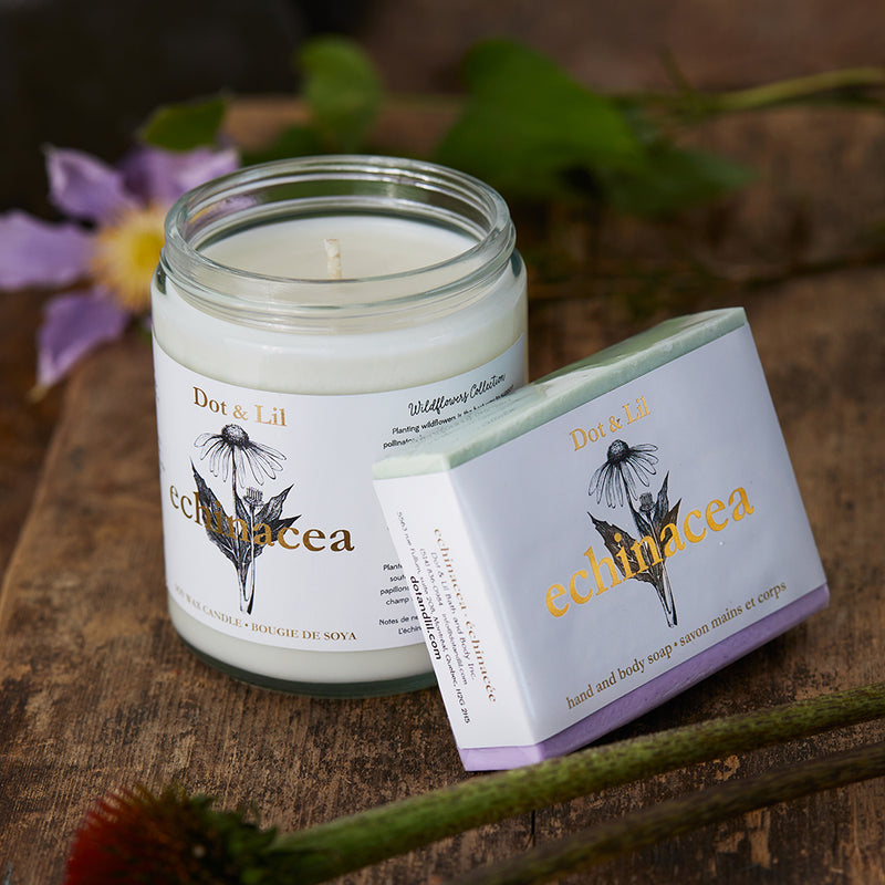 Echinacea soy candle - Wildflower collection