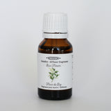 Huile pour diffuseur « Rice Flower » Dot and Lil