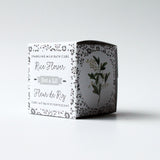 cube lait bain effervescent fleur de riz